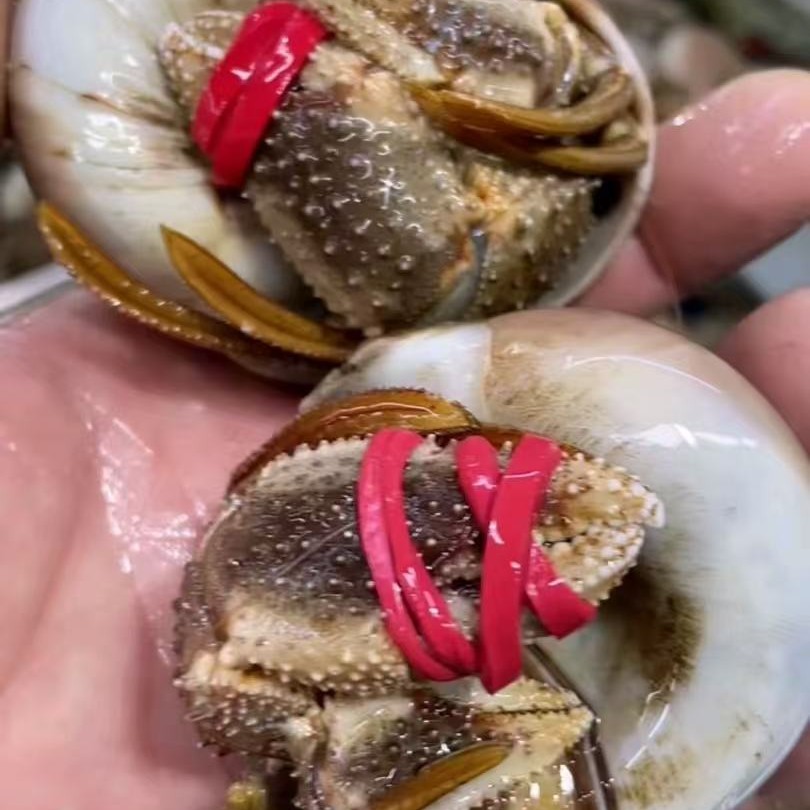 鲜活虾怪鲜活寄居蟹(3斤)