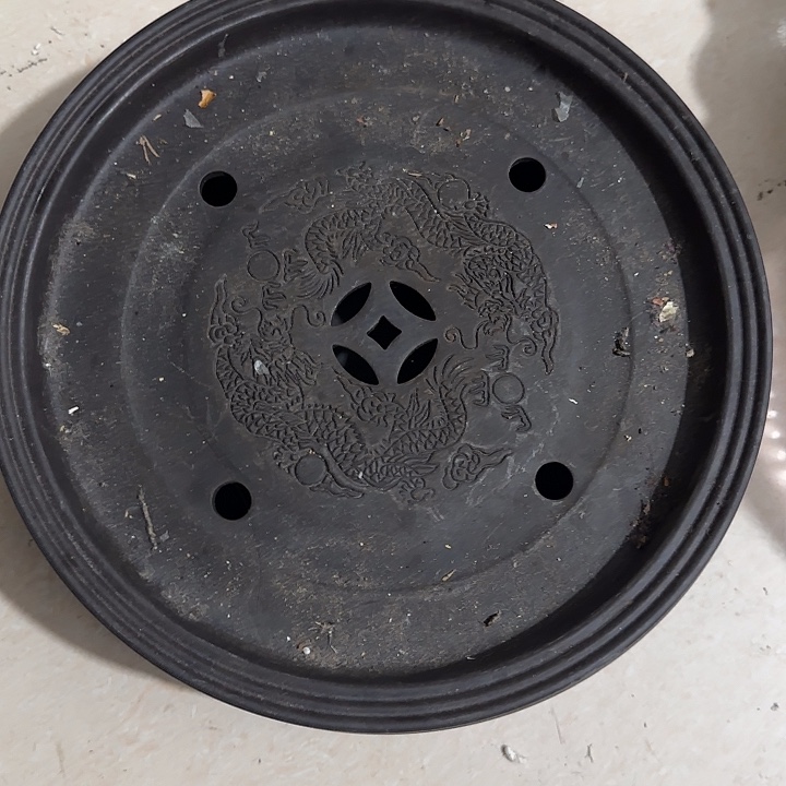 康****香榧木fhvhvhghvhhbb