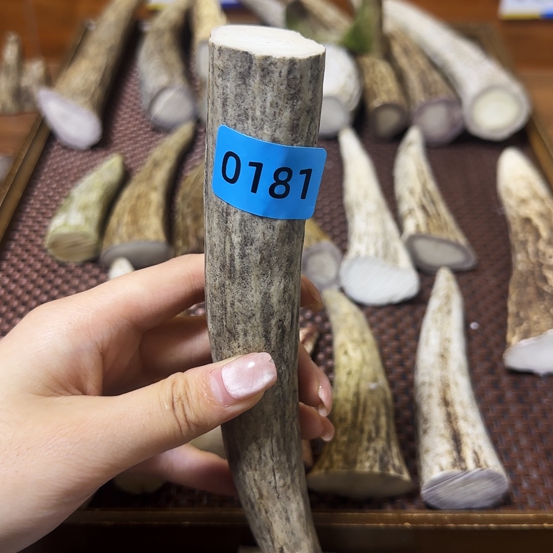 鹿骨手串/手链角尖0181