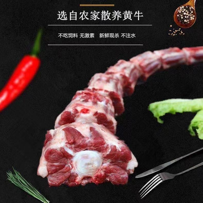 【黄牛牛尾巴】新鲜现宰黄牛牛尾巴   整根断骨连肉