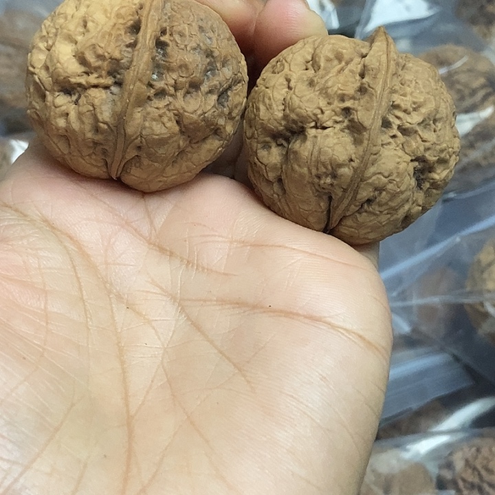 文玩核桃把件云南铁核桃基地16