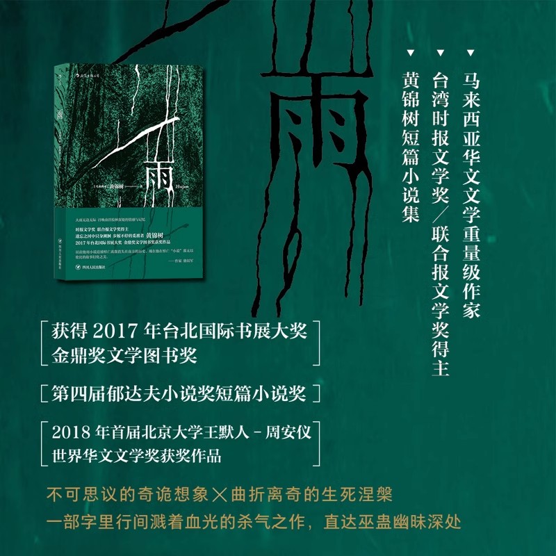 雨 黄锦树 郁达夫奖马来西亚华语金鼎奖图书奖短篇小说作品集文学