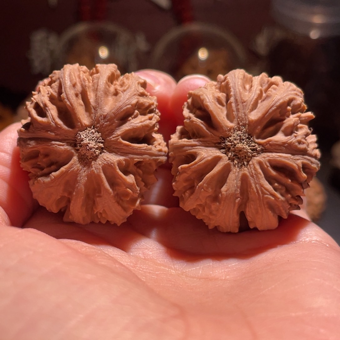 文玩核桃吊坠菊花蚂蚁31