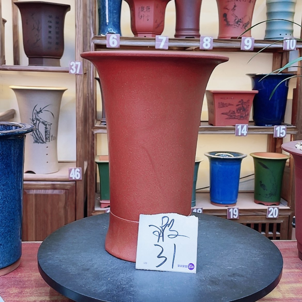 【闪购商品】紫砂花盆兰花45556666325556888