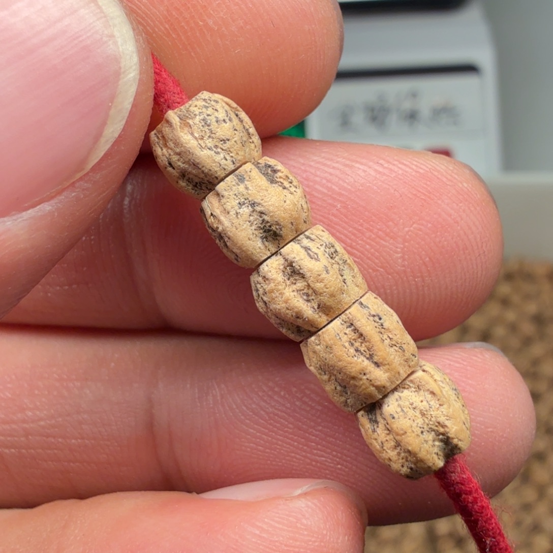 吊坠柏香籽/百香籽