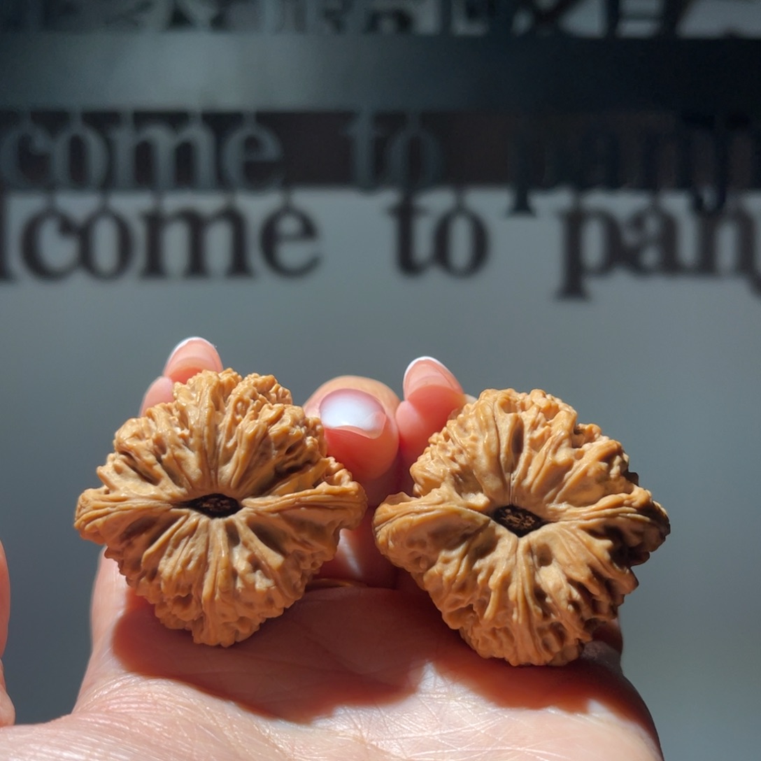 烟***东文玩核桃吊坠南将石