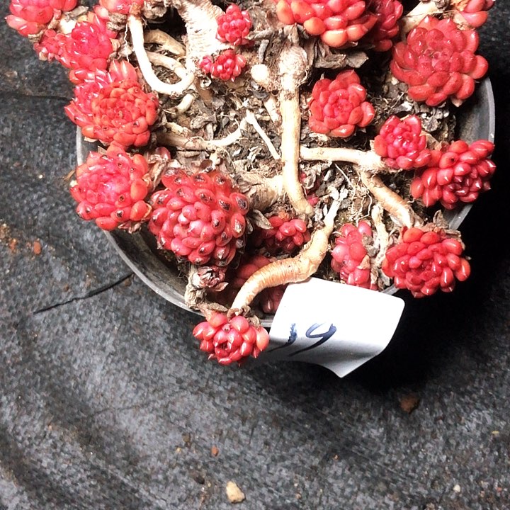 静***?101////////////