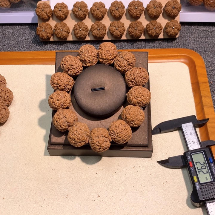 吊坠金刚菩提23号 23五瓣