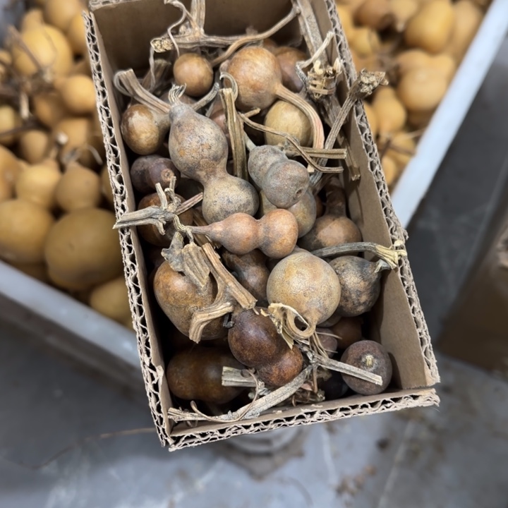 天***l木天然葫芦摆件制作工艺