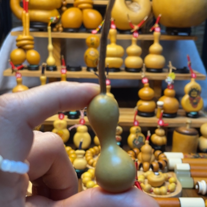 玥*.天然葫芦自然生长