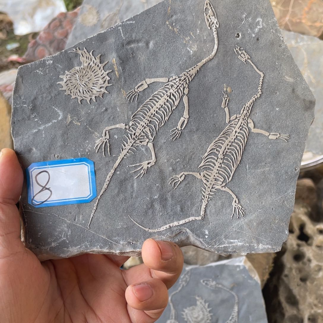 石材888888888888888888