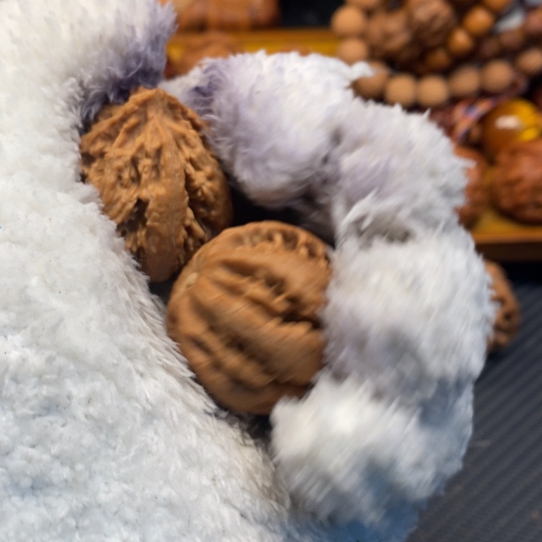 秦岭森林中发现两条