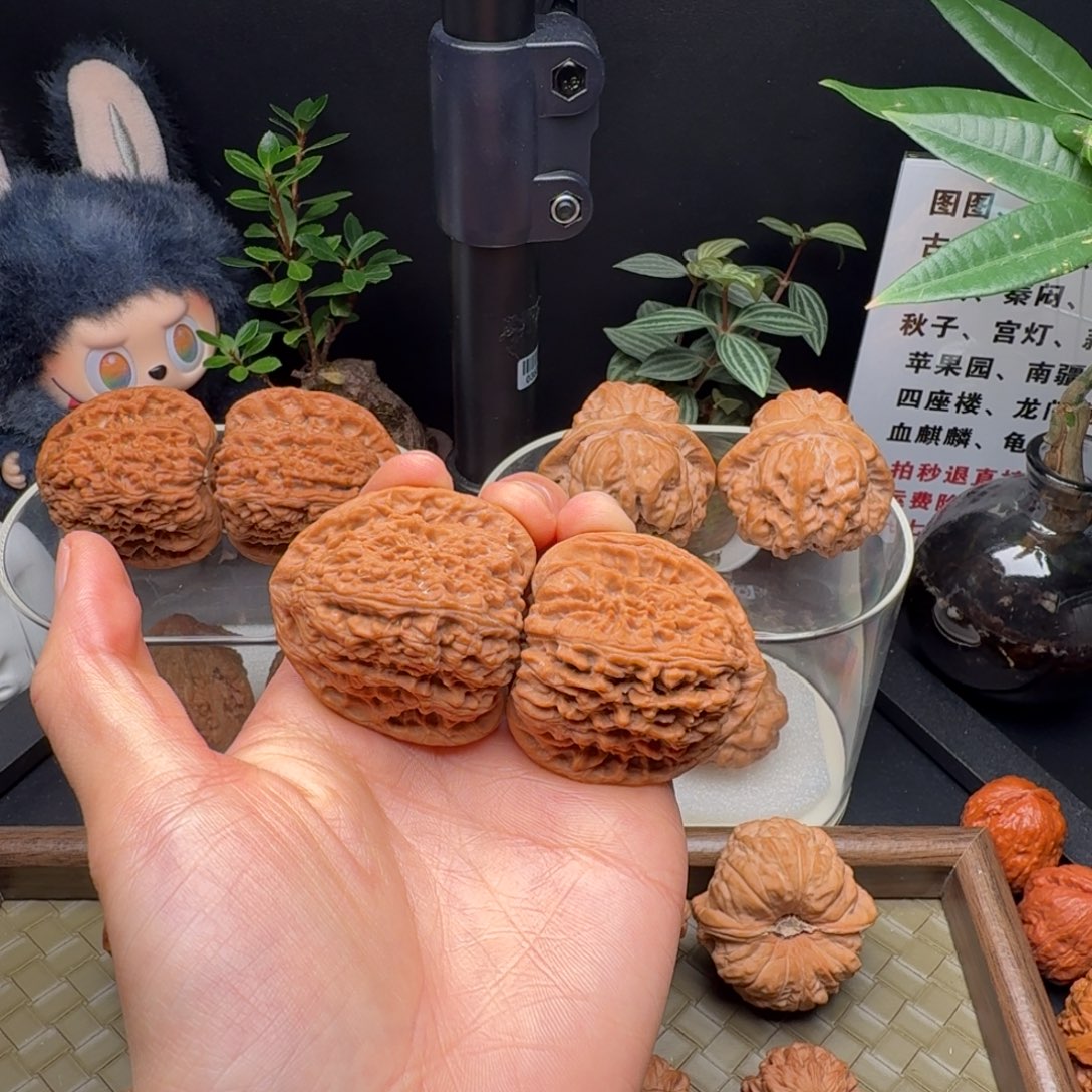 吊坠龙脊菩提全家福三角疆全品41