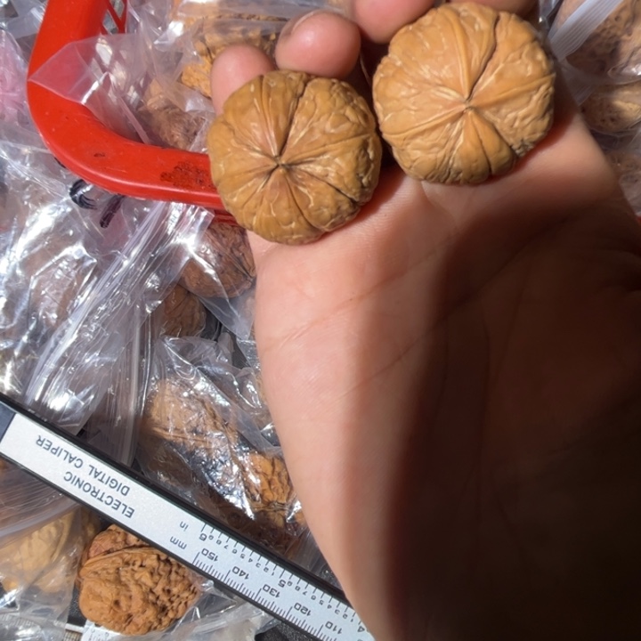 吊坠文玩核桃滇西120