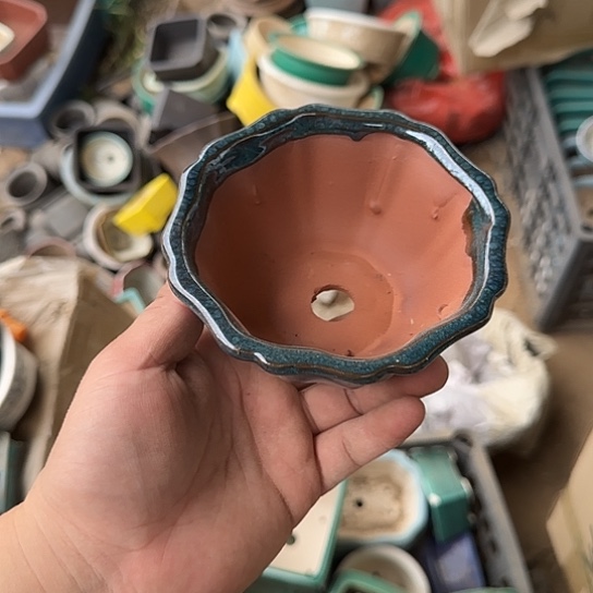 不用急哈谢谢啦兄弟你也太可爱