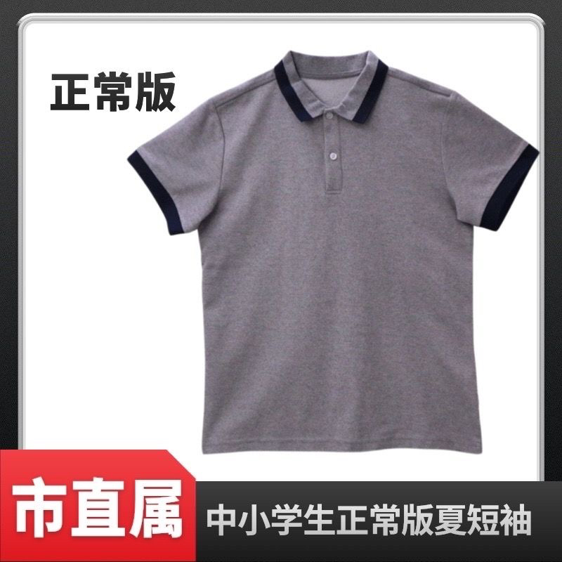 厦门市直属中小学生校服男生女生正常版夏季短袖(下单留言校标)
