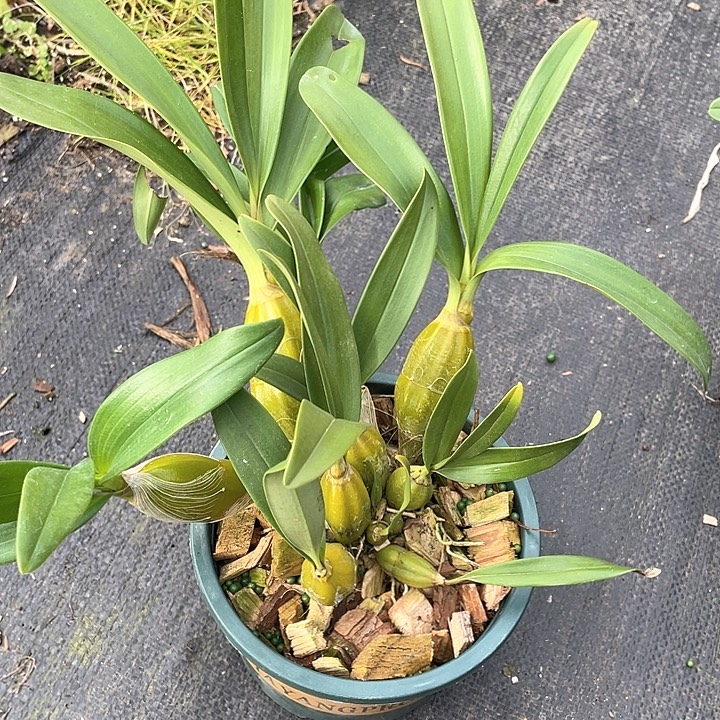 完全开放无需担心