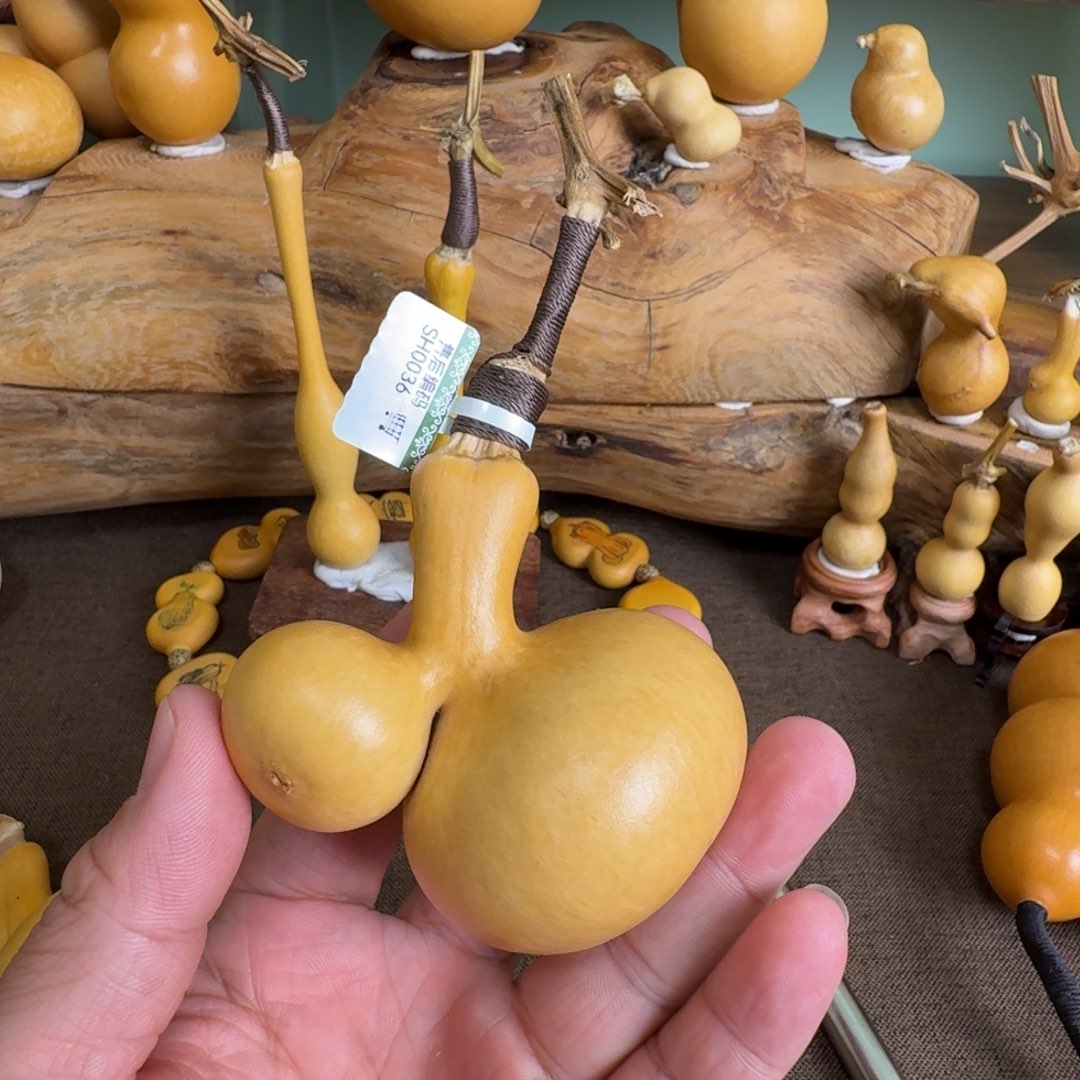 满***长葫芦闪拍链接葫芦