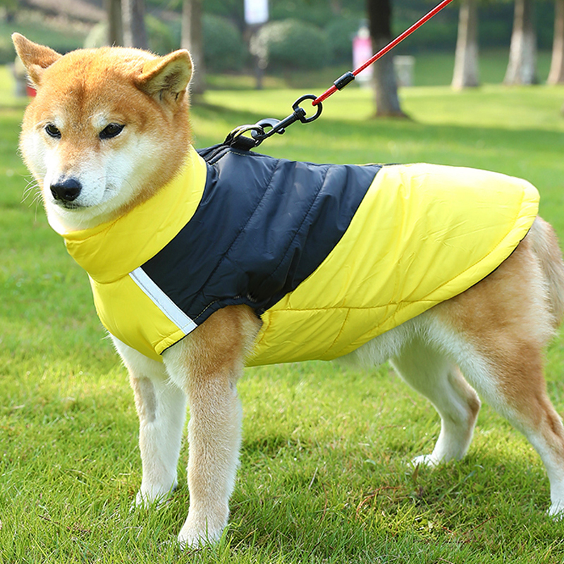 宠物狗狗衣服冬款秋冬羽绒保暖棉衣可牵引柴犬柯基中型大型犬冬天