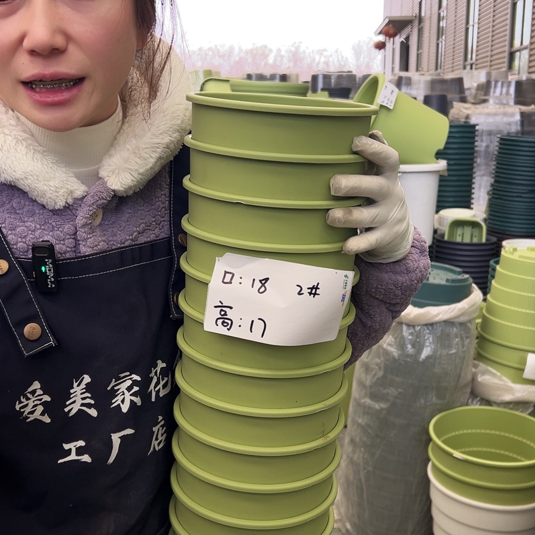 瑕疵多孔盆2#果绿10个无托