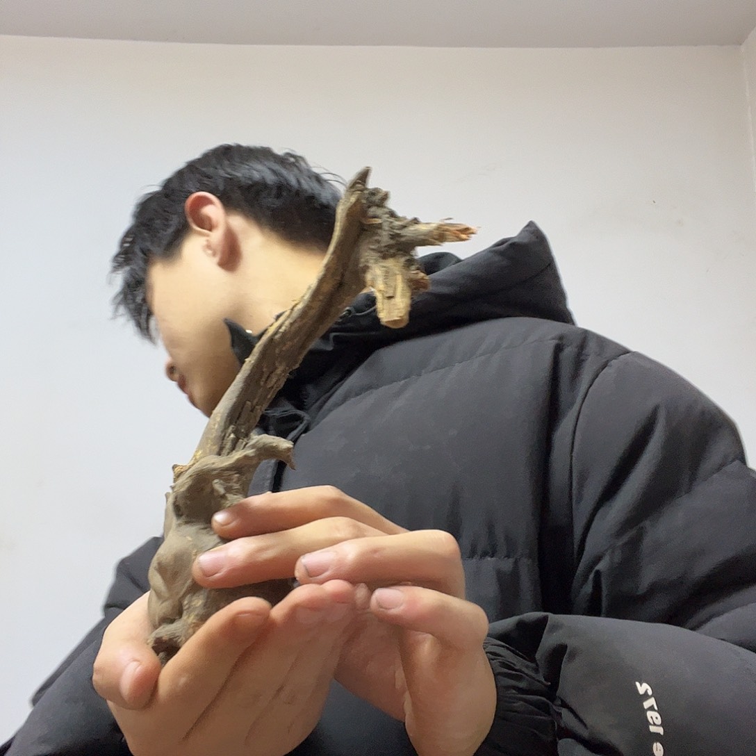 邓***艺柏木（崖柏）这个时候的自己真的太喜欢
