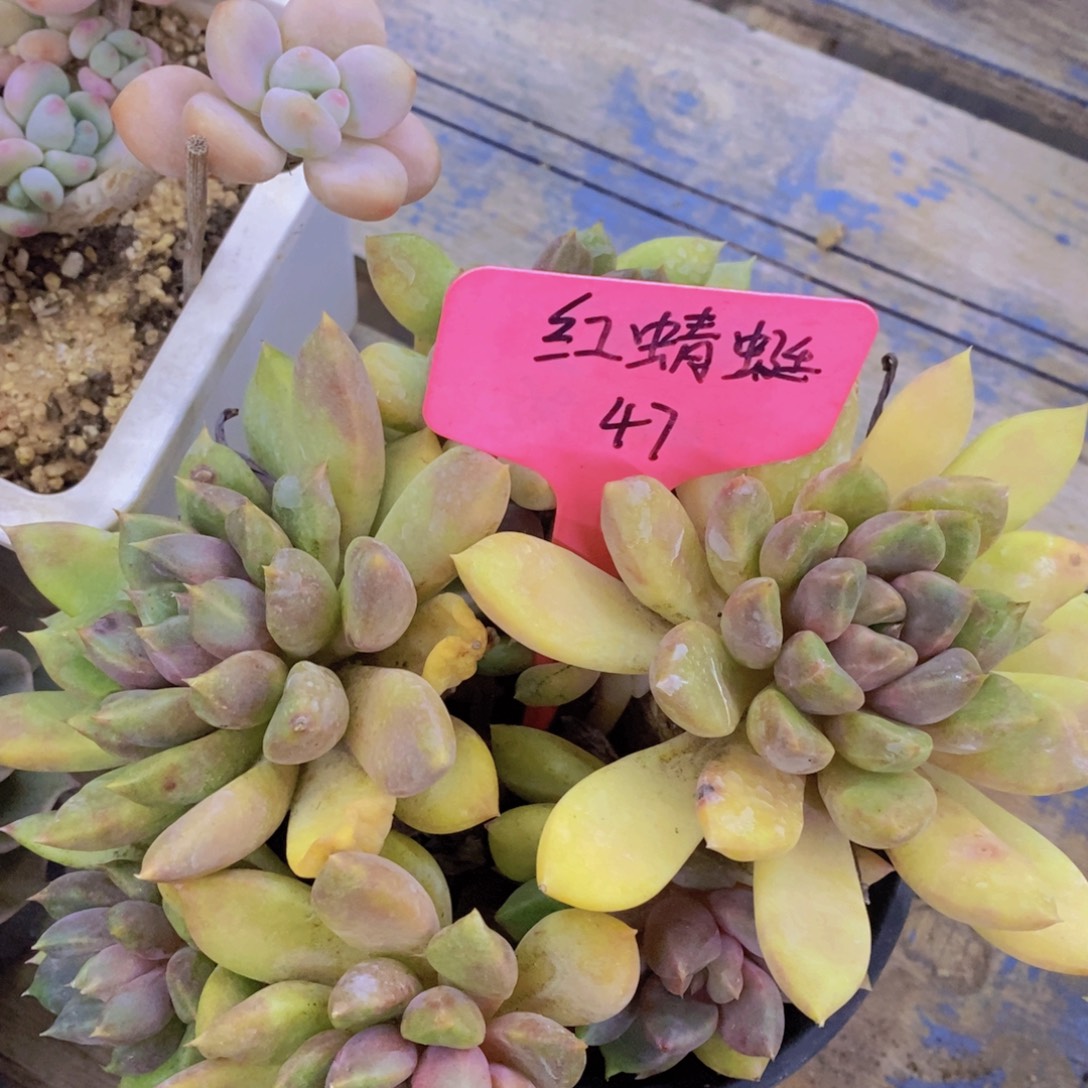 清货转场，一单包邮，满5宋1