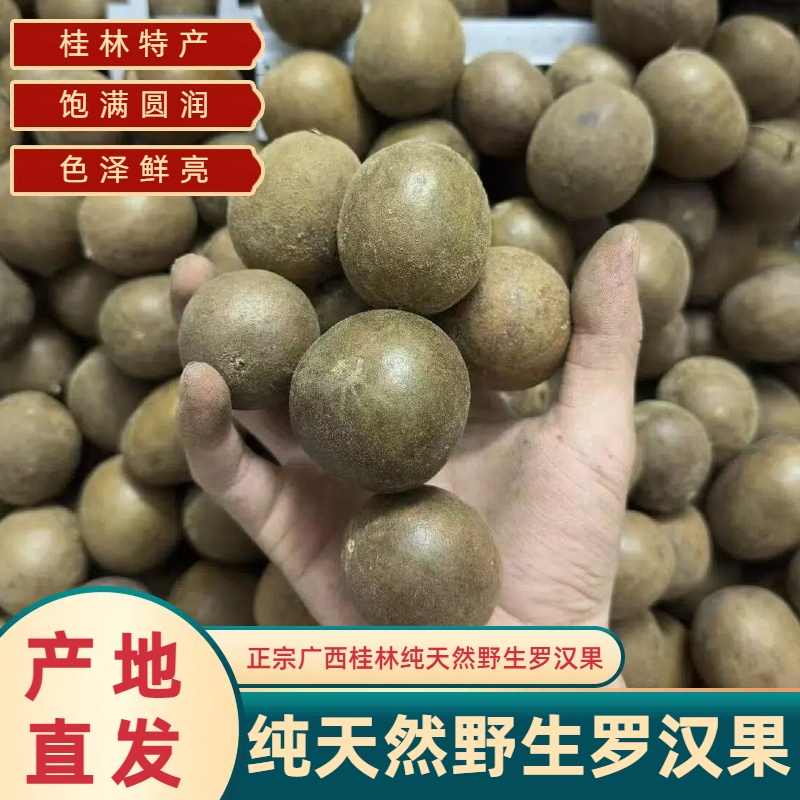 广西桂林正宗罗汉果深山纯天然野生小个罗汉果干果批发泡茶花茶