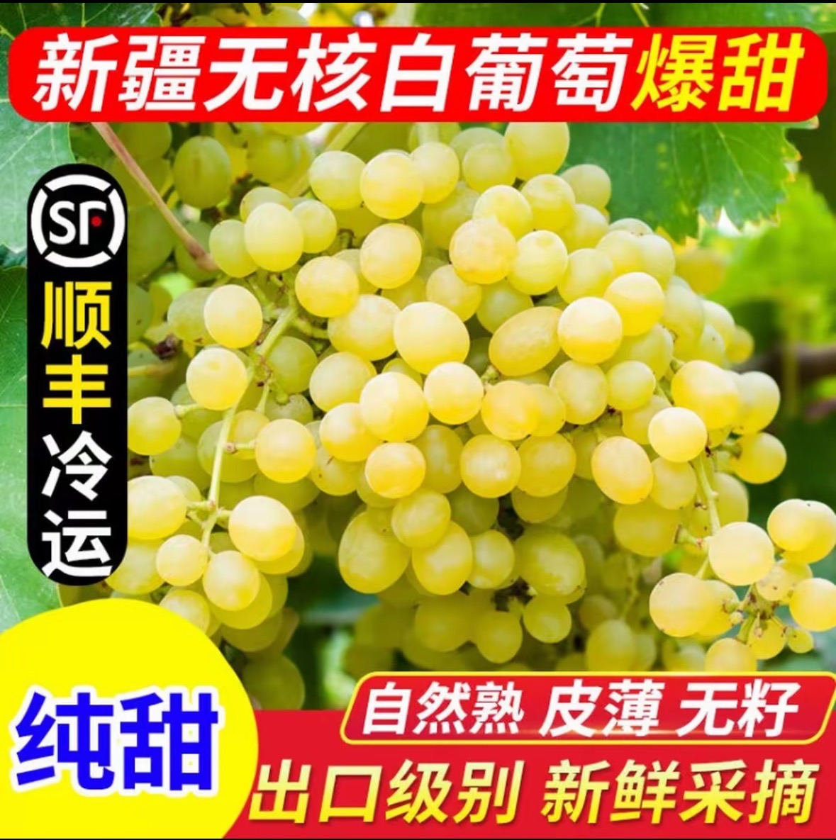 【顺丰航空包邮产地直发】吐鲁番无核白葡萄新鲜爆汁皮薄无籽纯甜