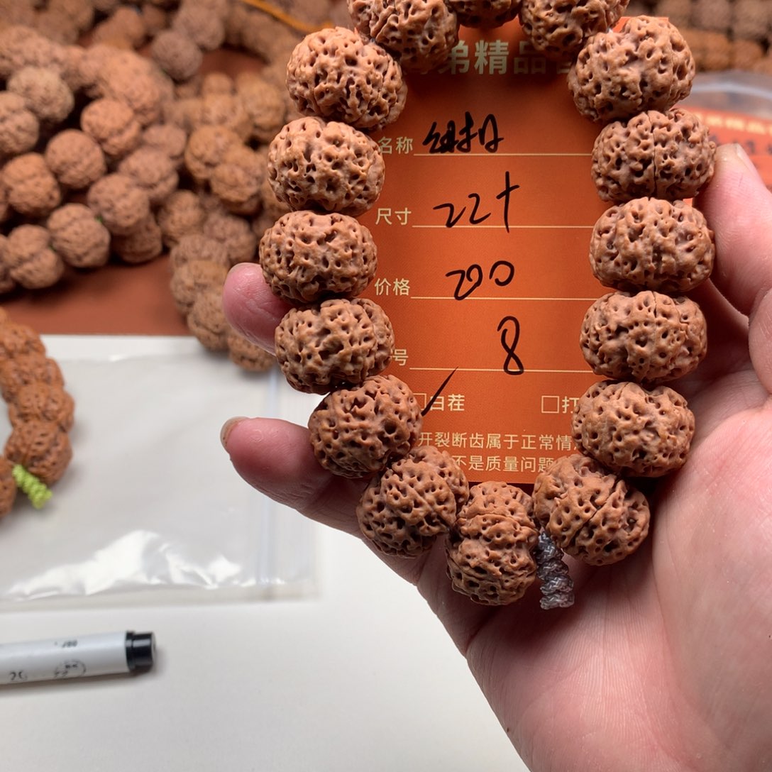 手串金刚菩提   8号