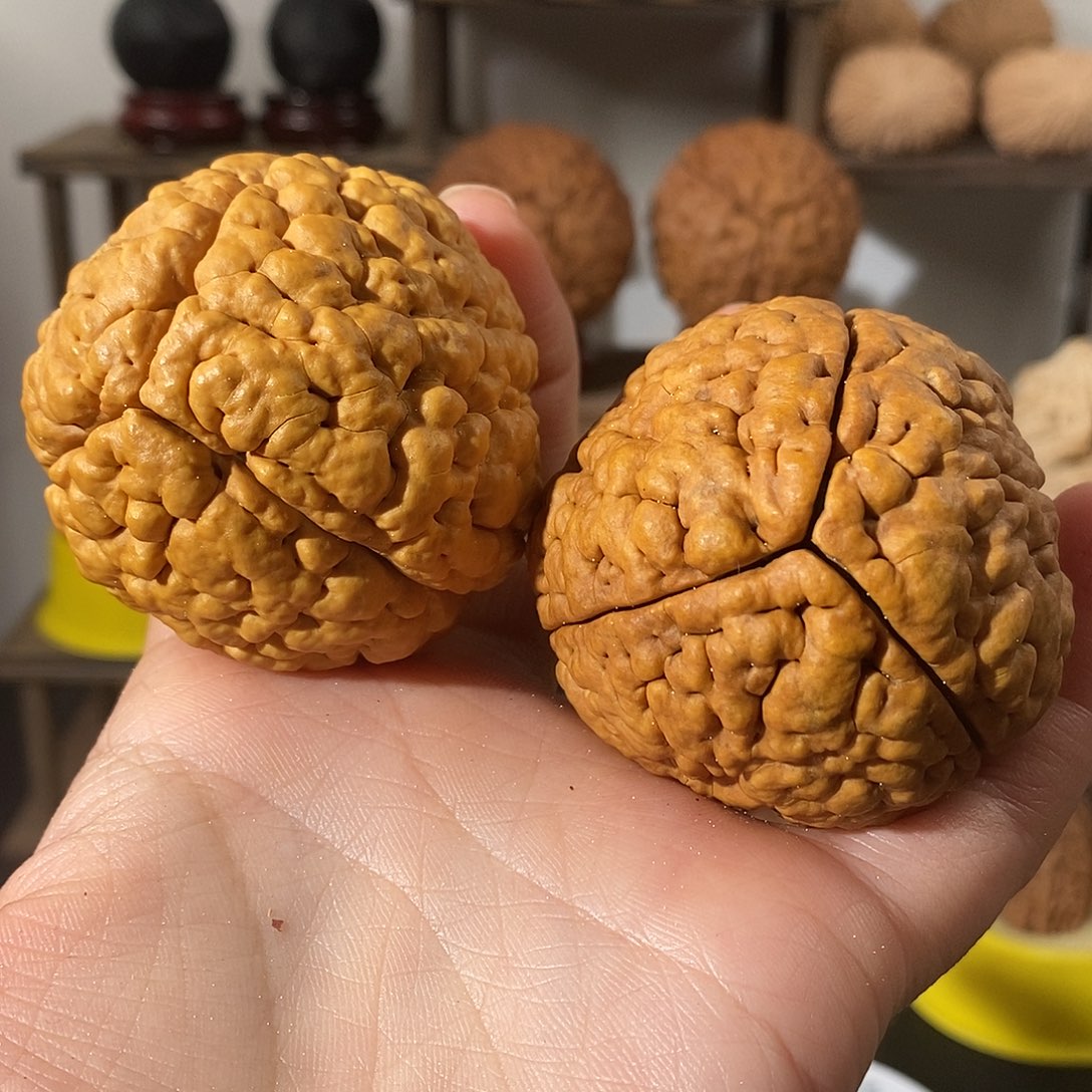 吊坠文玩核桃三瓣脑纹金刚练手微色不退不换不接受中差评5260