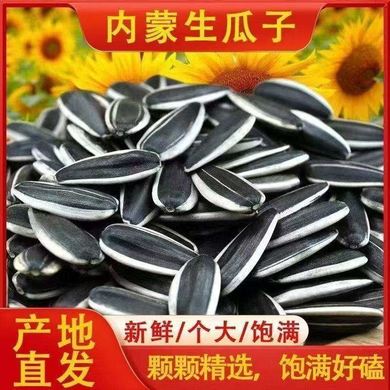 【买一斤送一斤】内蒙古原味生葵花子生瓜子中大颗粒皮薄年货小零食