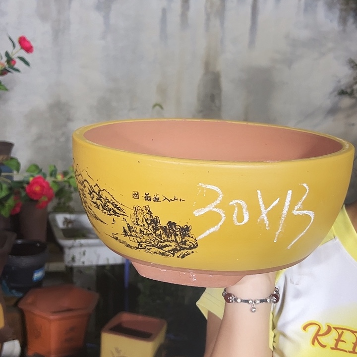 黄色江山如画大号×5个