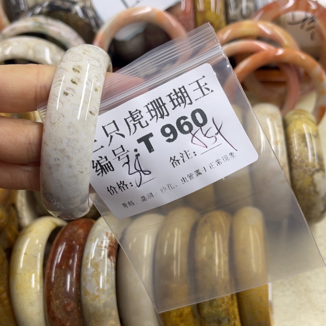 蚂***常硅化珊瑚（珊瑚玉）未镶嵌h