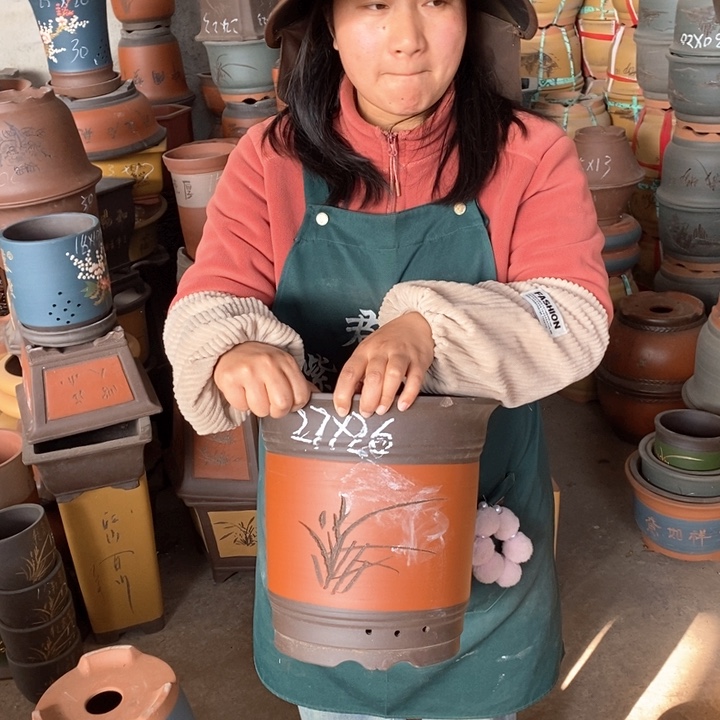 紫砂花盆盆栽花卉苗木种植