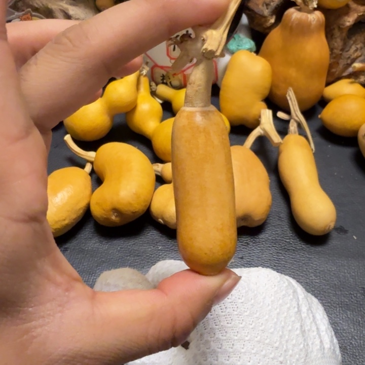 *****66……………………………………