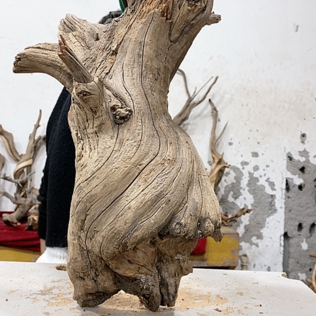 【闪购商品】柏木老*我们都是好孩子