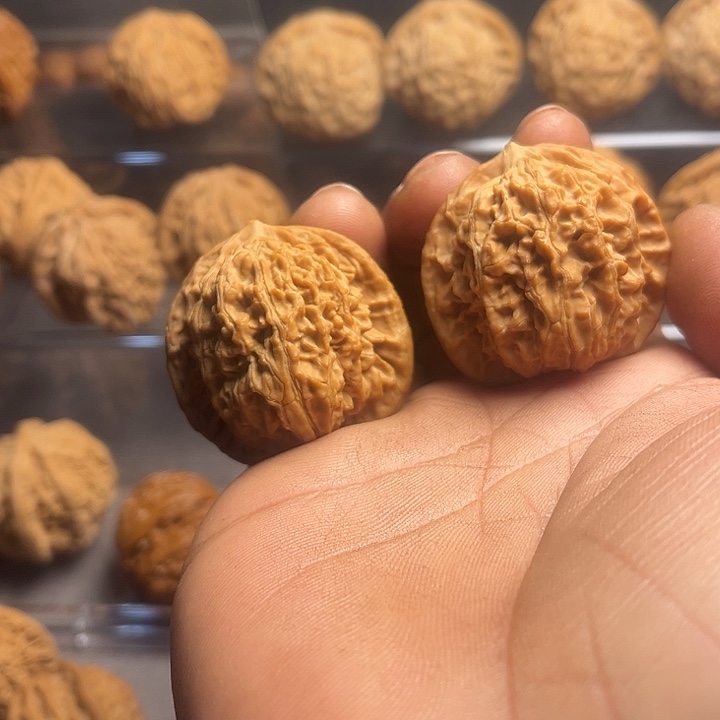 文玩核桃吊坠40蟠龙纹…………