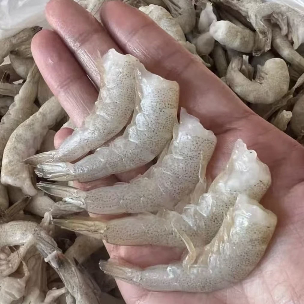 【栋栋严选】野生羊毛虾 去头气动锁鲜 纯野生海捕 0冰 当季现货