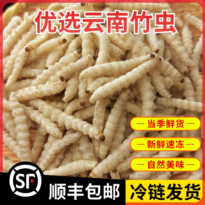 20斤批发柴虫竹虫竹蛹竹笋虫新鲜速冻竹节虫油炸香酥美味下酒菜