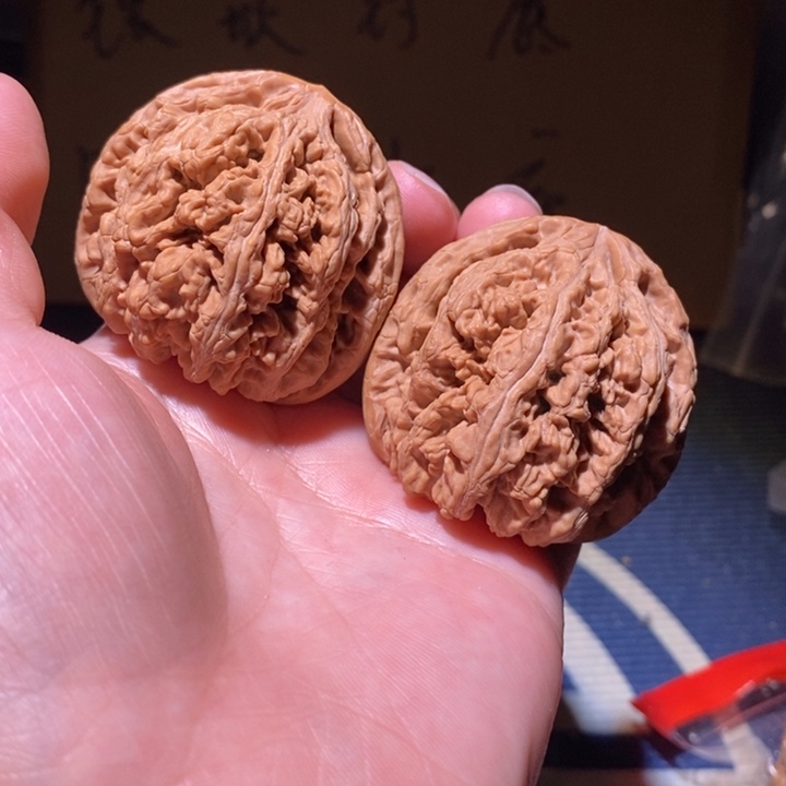 文玩核桃把件肌***手大粗筋