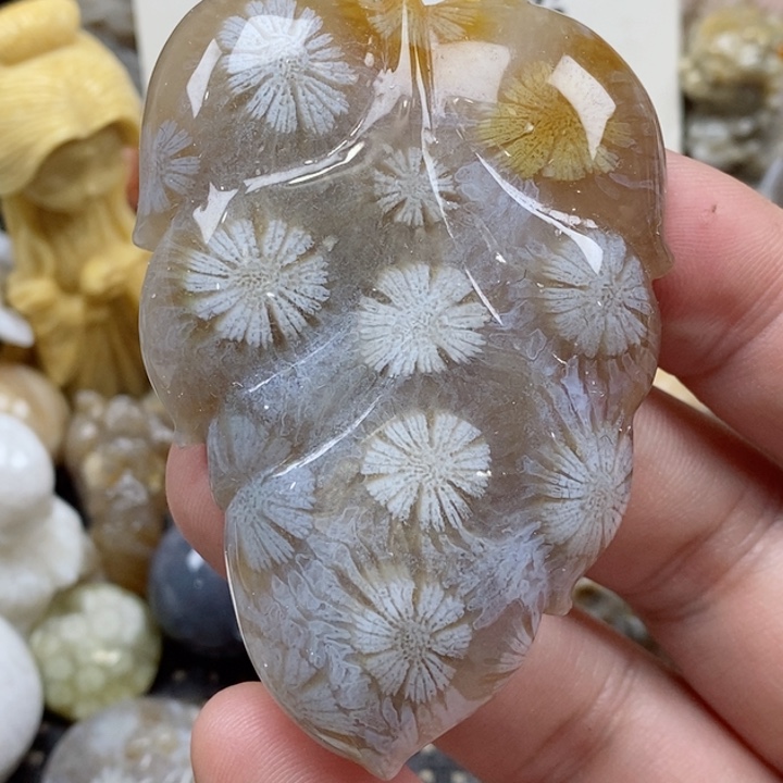 颈饰未镶嵌硅化珊瑚（珊瑚玉）