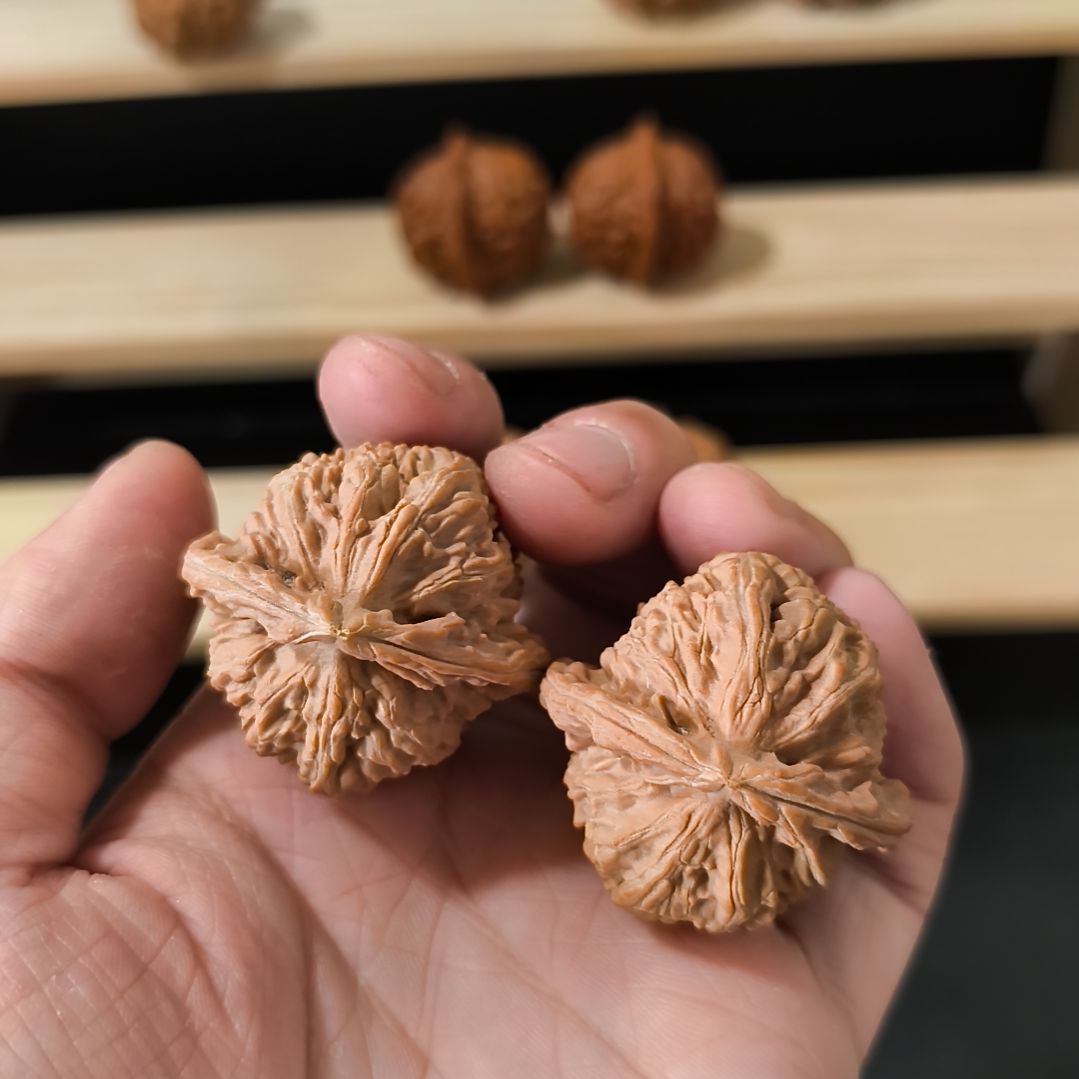 吊坠文玩核桃39白狮子