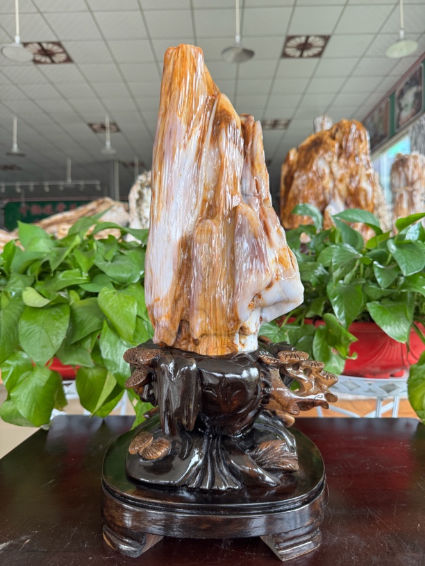 重14.5斤高45厘米缅甸天然树化玉硅化玉木化玉