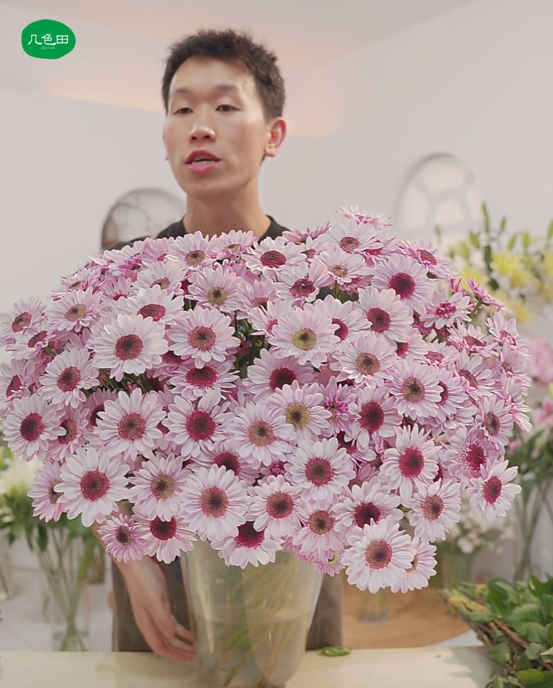 乌梅子酱----小菊云南直发鲜花云南花插花鲜花 