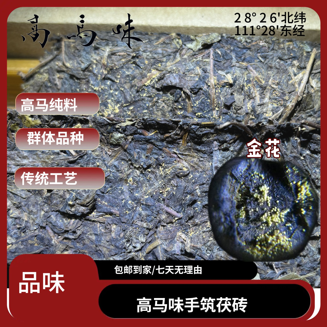 安化高马纯料群体种茯砖金花茯茶传统工艺茶厂品质好茶手筑