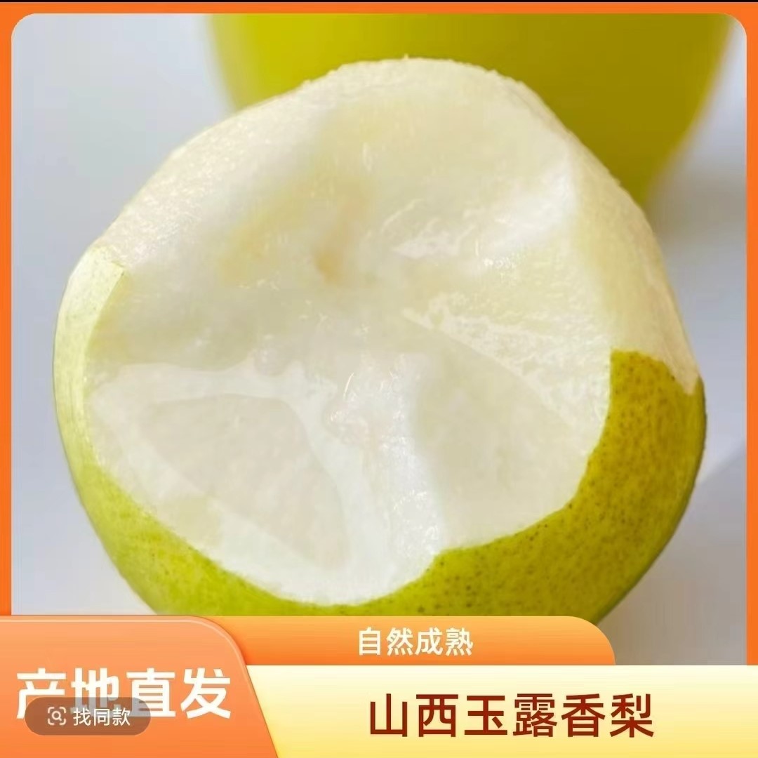 山西沙土地玉露香梨9月新鲜头茬果现摘现发4.2斤净果包邮有坏包赔