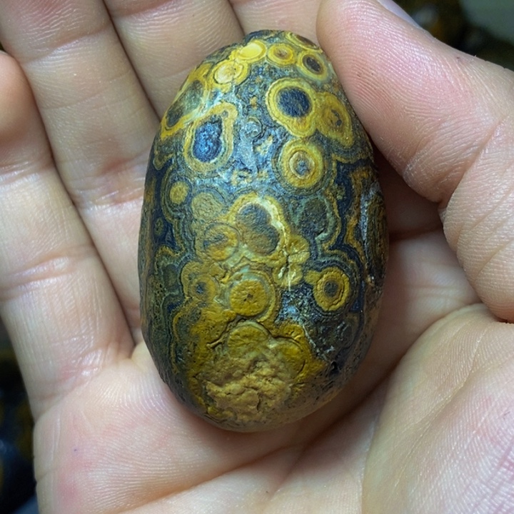 斗***人大叶紫檀（黑酸枝木类）