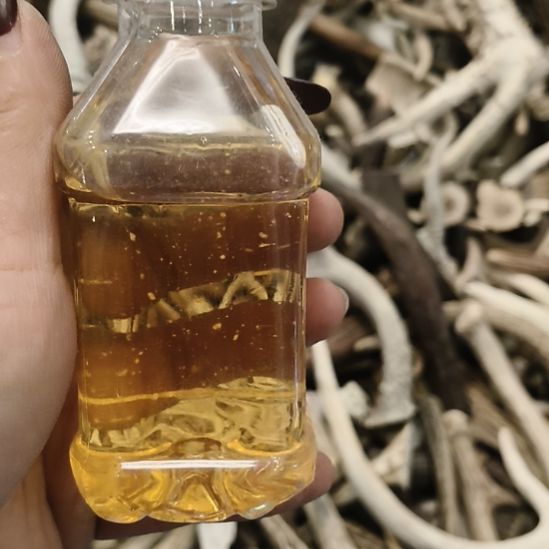 开****鹿角鹿角鹿角鹿角鹿角