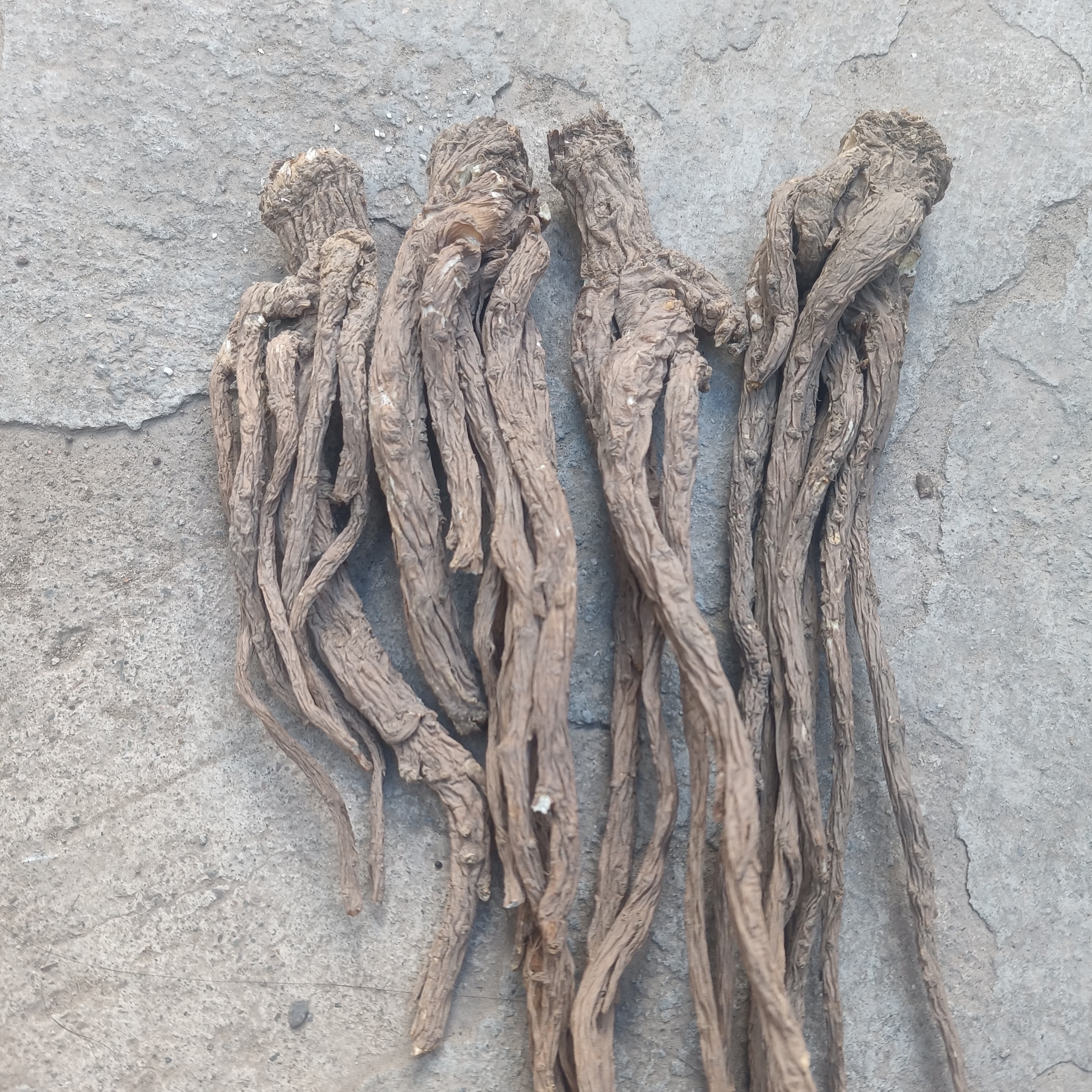 甘肃岷县药当归无硫小货成品补气血煲汤当归产地直销正宗岷县当归