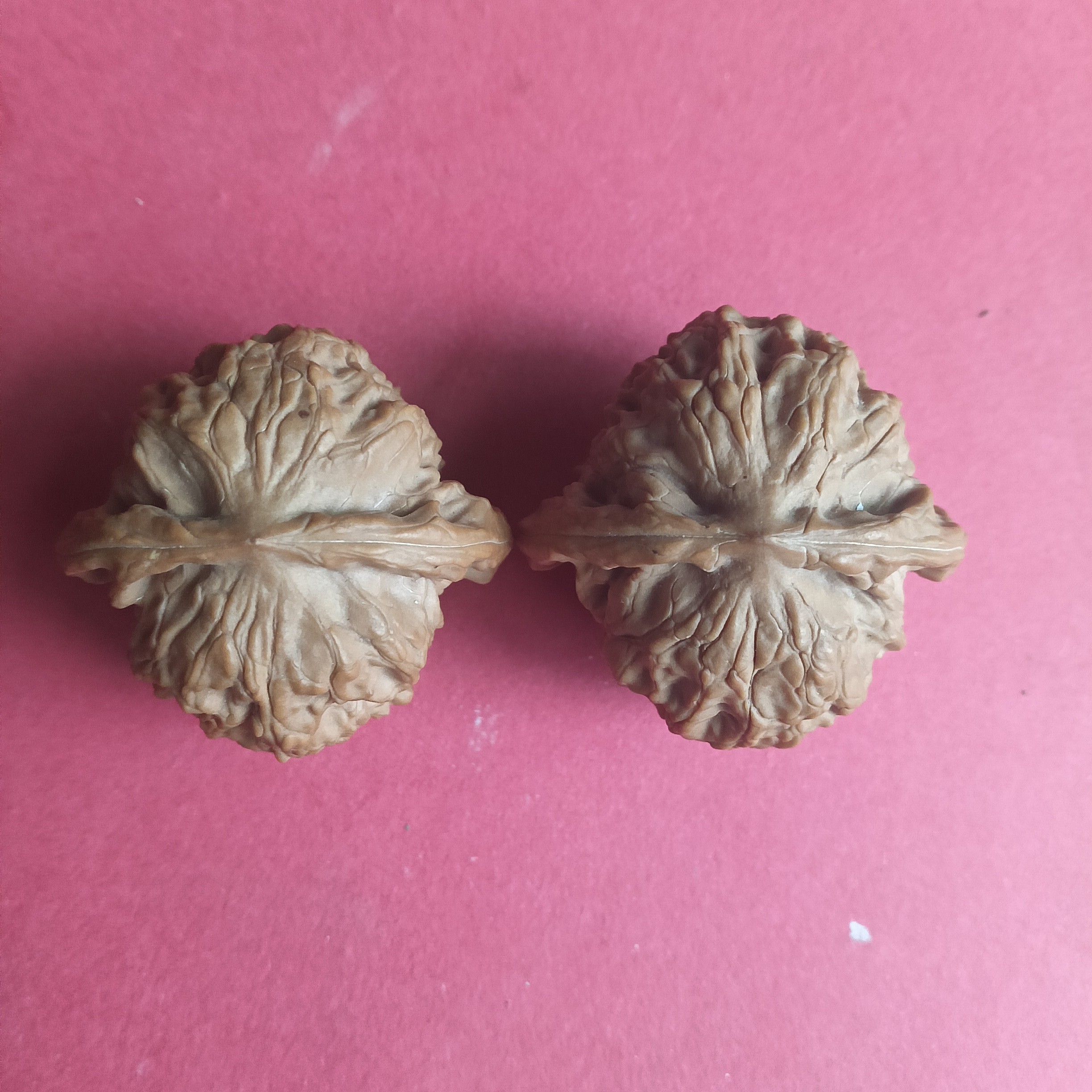 文玩核桃野狼手把件骨质嘎嘎好